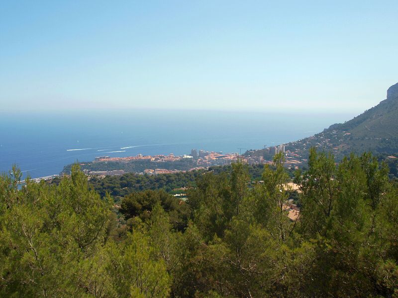 img00002.jpg