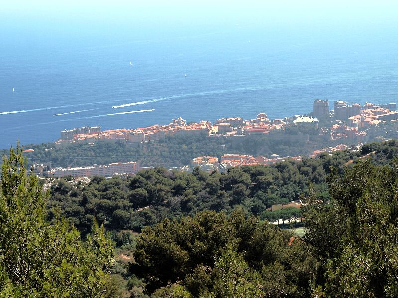 img00003.jpg
