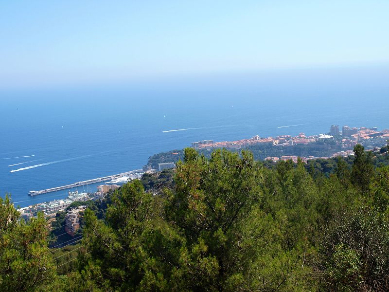 img00007.jpg