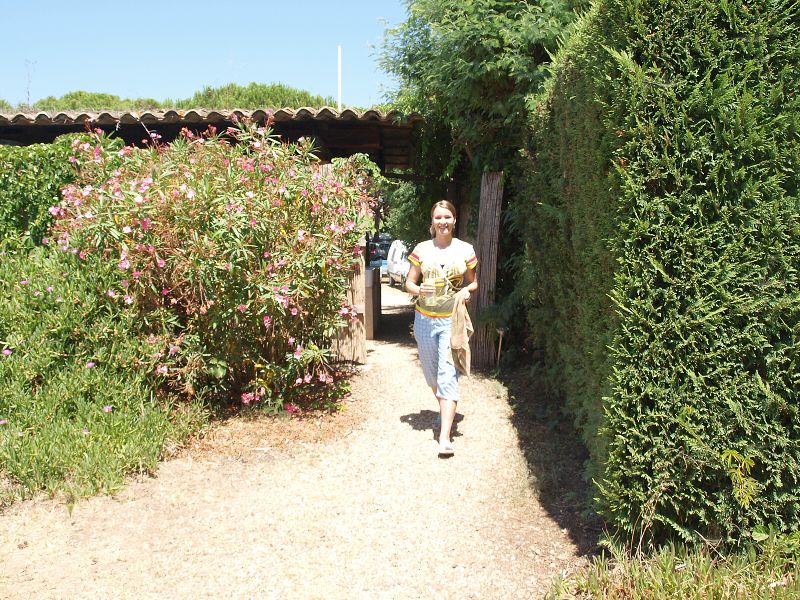 img00002.jpg