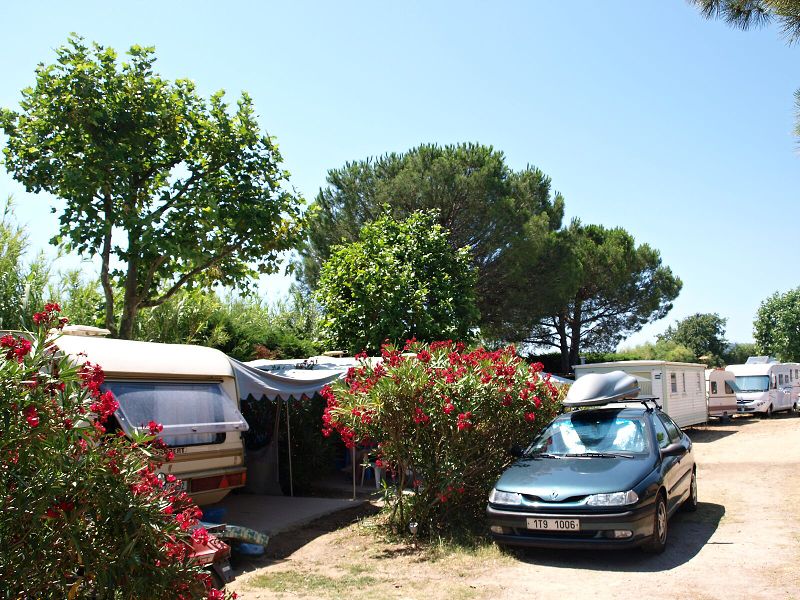 img00003.jpg