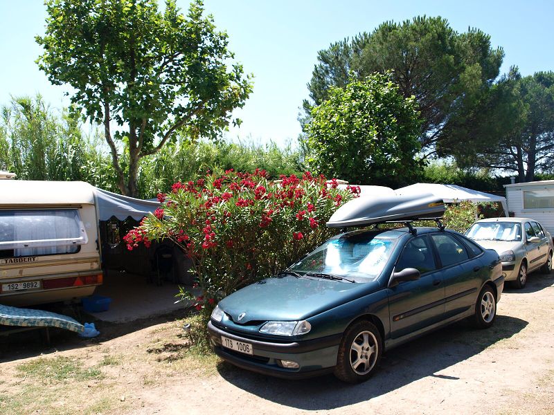 img00004.jpg