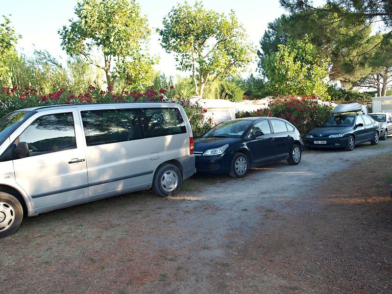 img00008.jpg