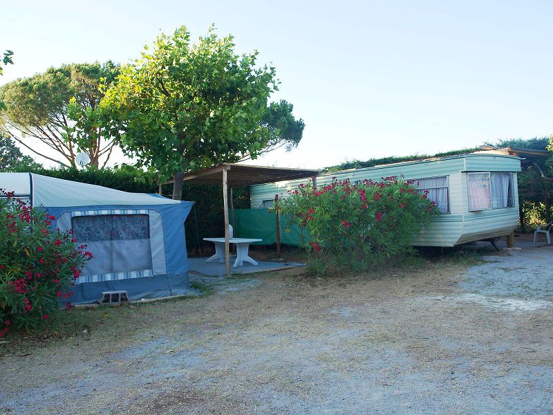 img00009.jpg