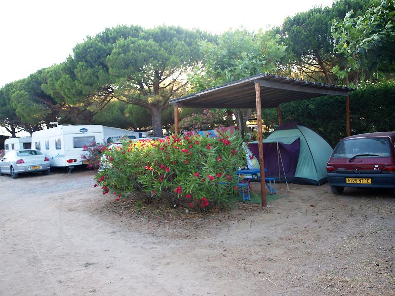 img00010.jpg