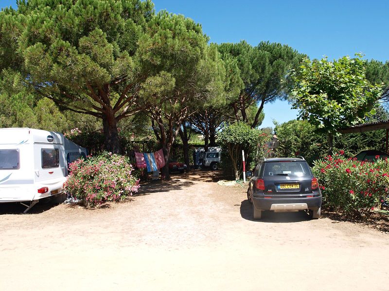 img00011.jpg