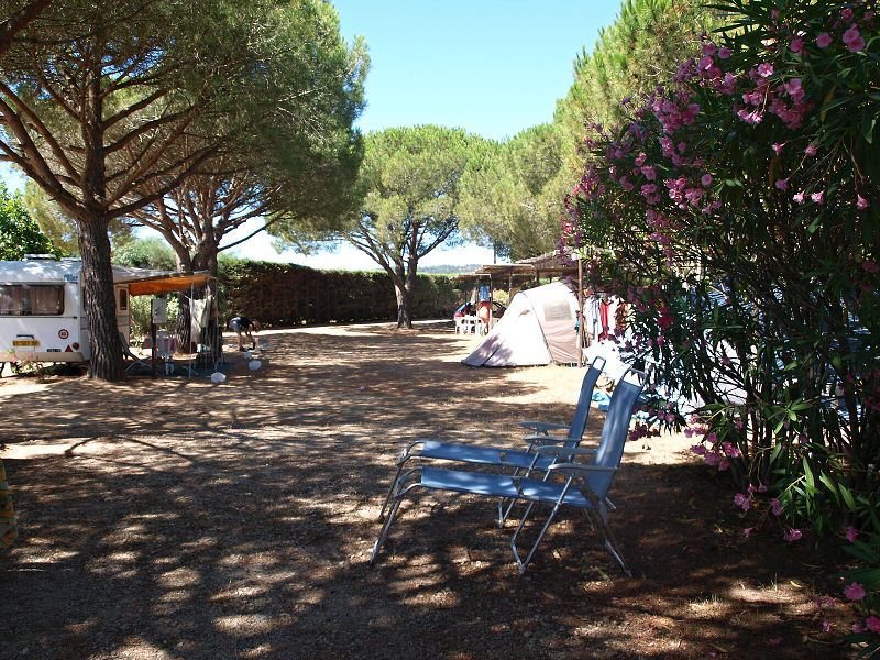 img00014.jpg
