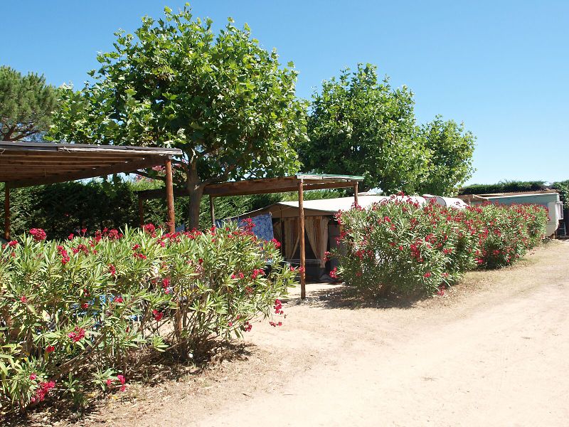 img00016.jpg